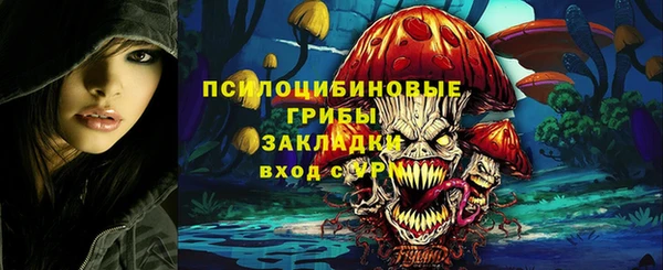 прущие крисы Алексин